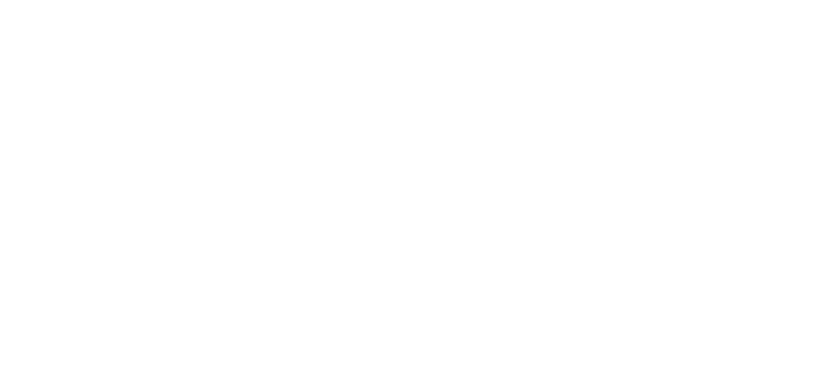 Omni Connection International